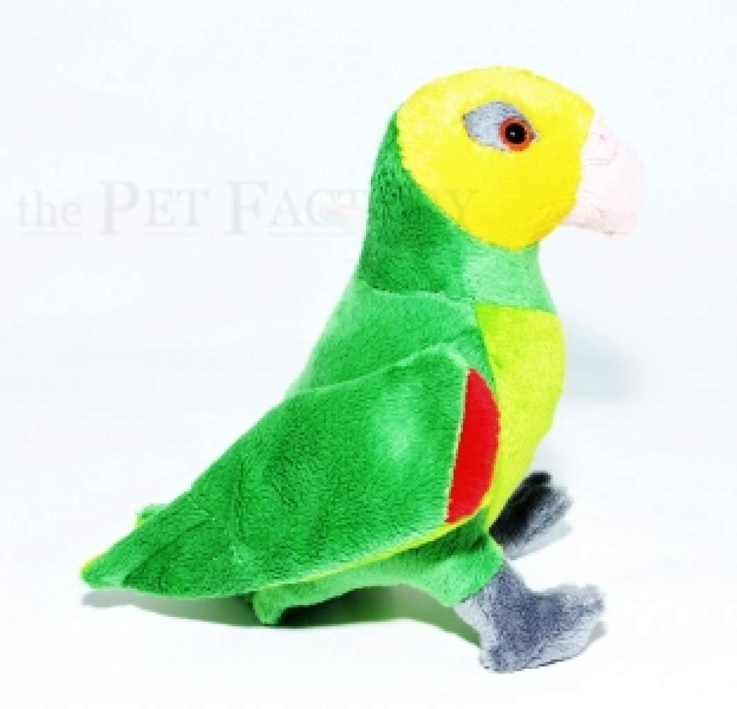 Kuschel Vögel